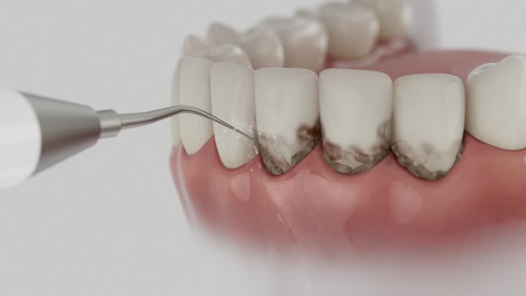 Reliable Dental contractor in Chelsea, MI by Dentist Open Now